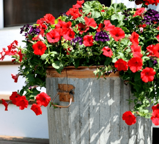 Upcycled Garden Bed