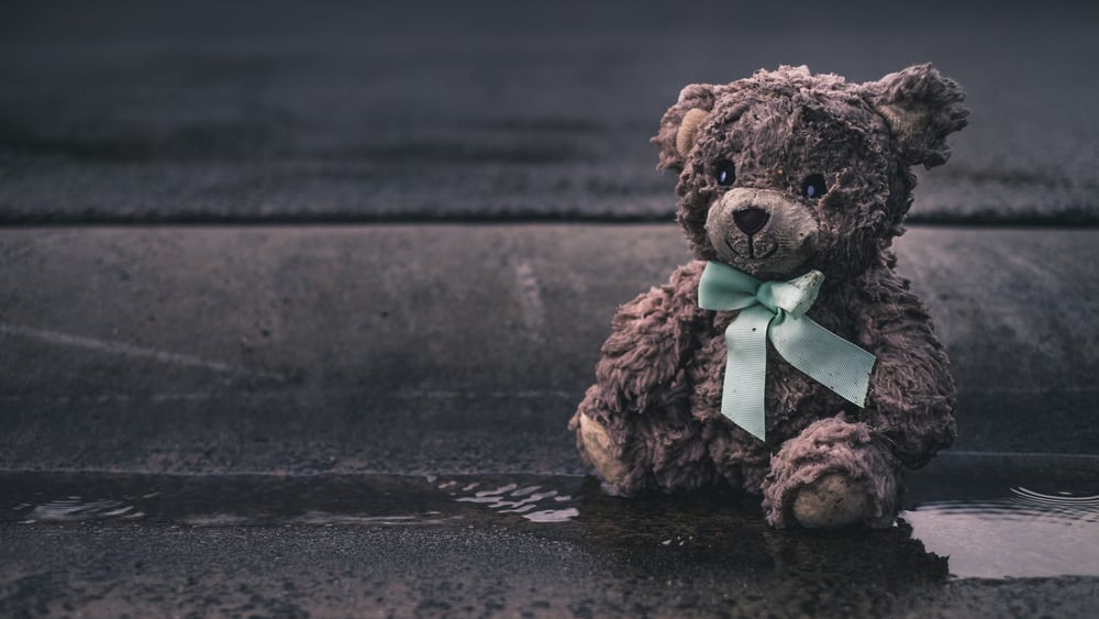 Wet Teddy Bear