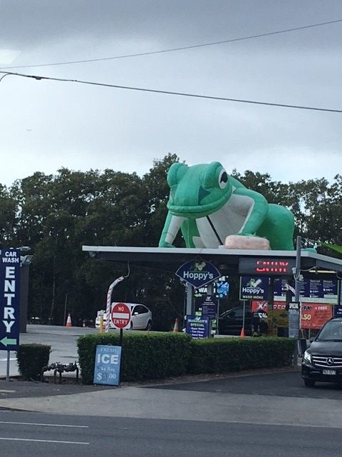 Hoppy The Frog