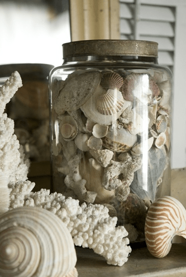 Sea Shells in Glass Jar