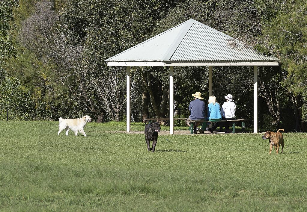 Bulimba Riverside Dog Park