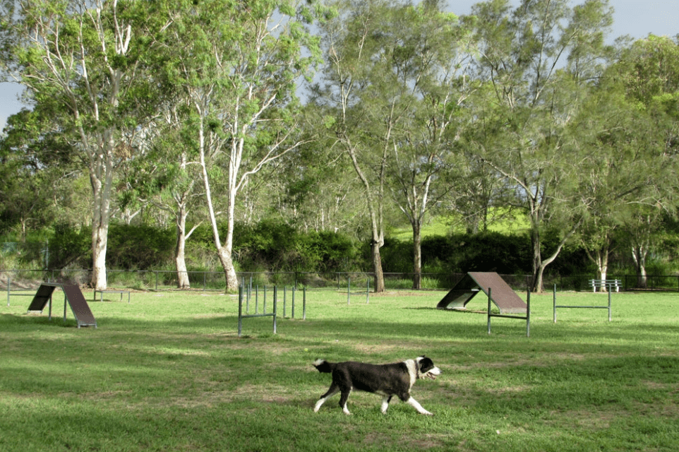 Colmslie Recreation Reserve Morningside
