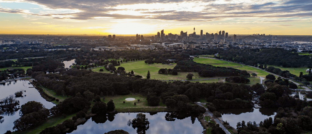 Centennial Park dog park Sydney