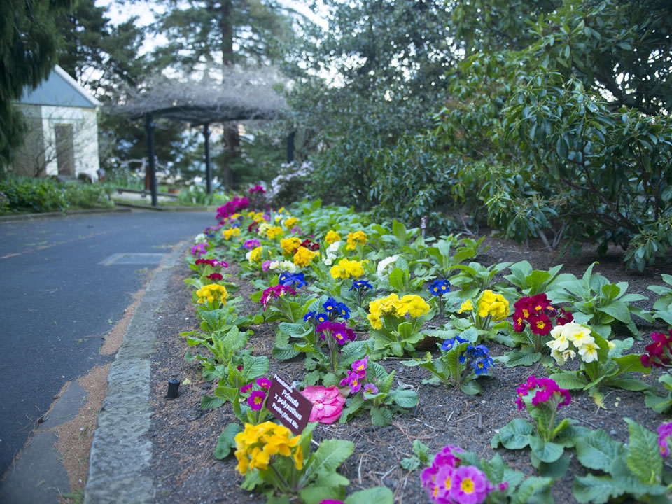 City to Royal Tasmanian Botanical Gardens bike track