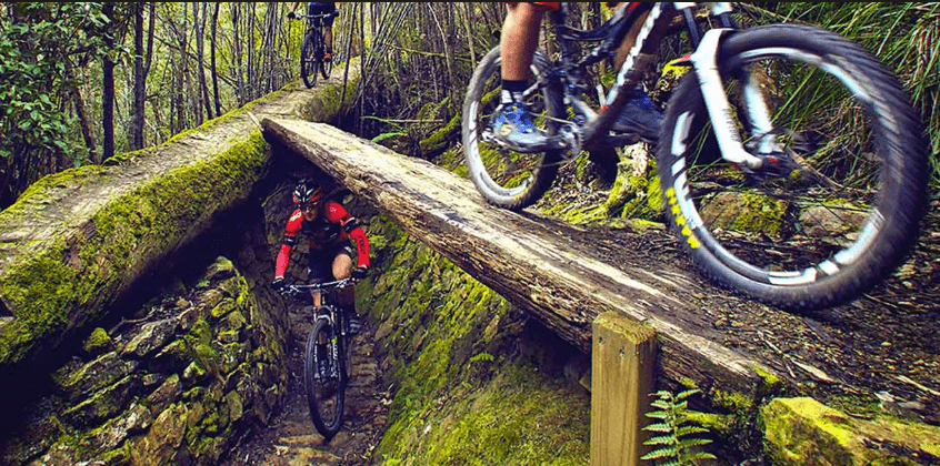 North-South Track Mt Wellington Hobart
