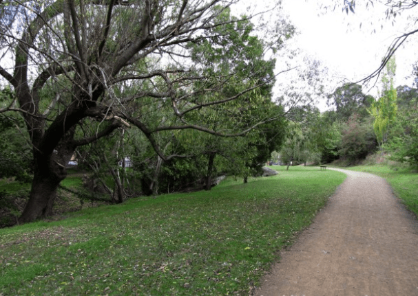 Hobart Rivulet Track
