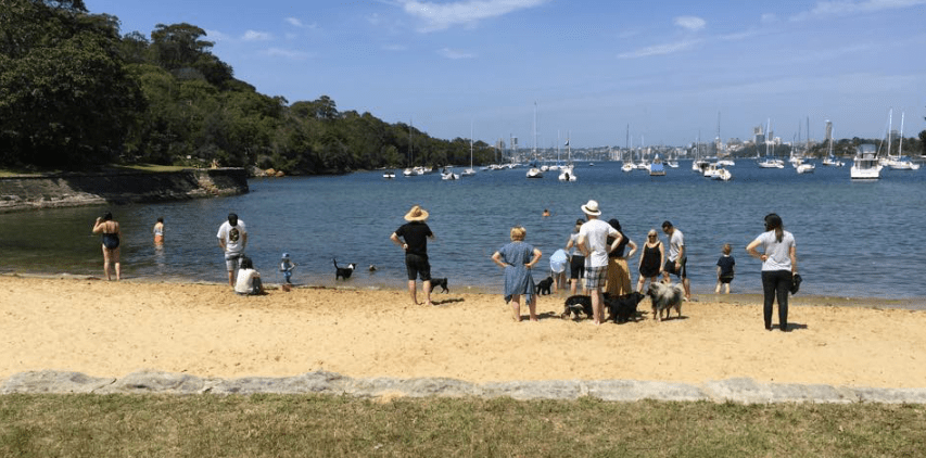 Sirius Cove Reserve dog friendly beach Sydney