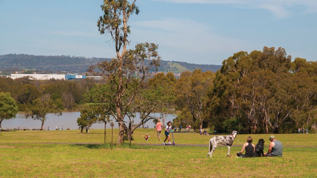 Jells park dog park melbourne