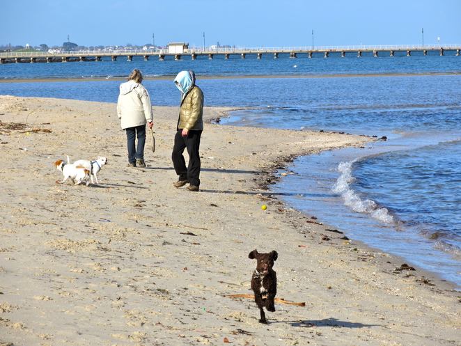 West Beach St Kilda