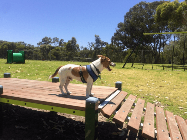 Aveley Adventure Dog Park Perth