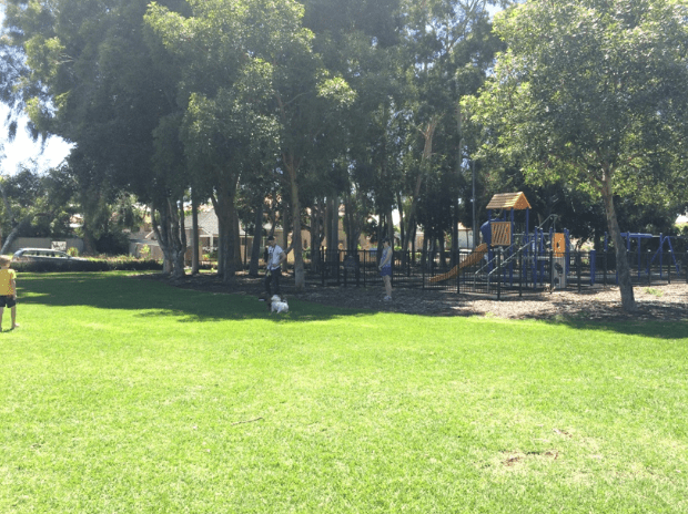 Jack Marks Park Dog Park Perth
