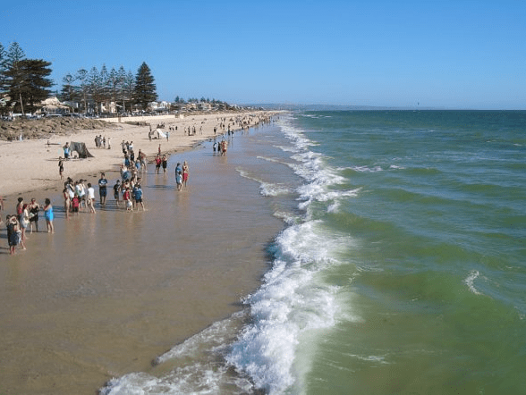 Henley Dog Beach Adelaide