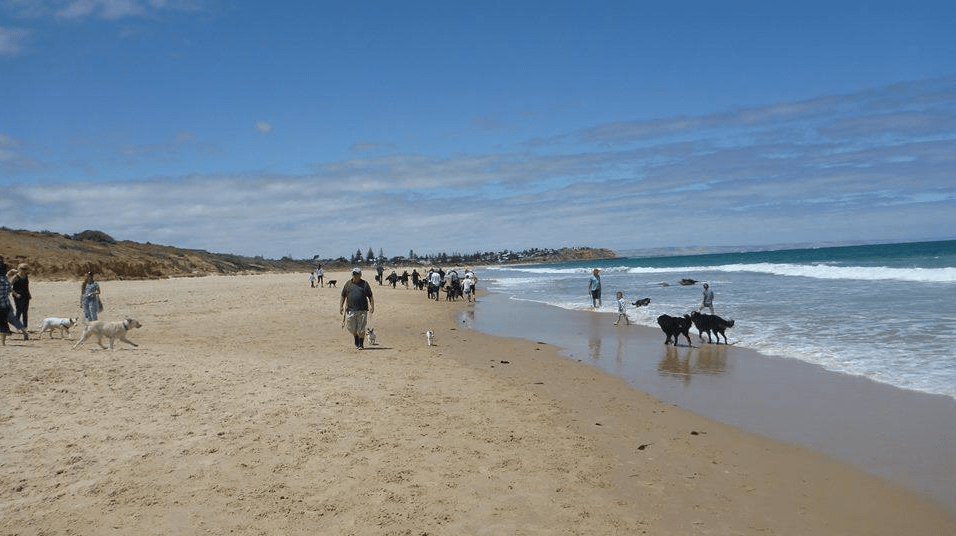 Dog-friendly beaches Adelaide - O'Sullivan Beach