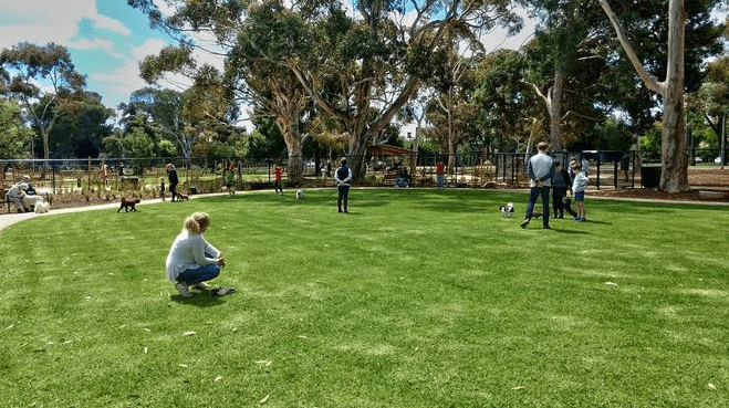 Pityarilla Dog Park