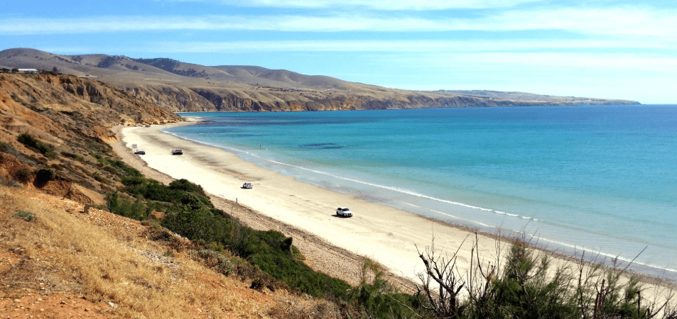 Sellicks Dog Beach Adelaide